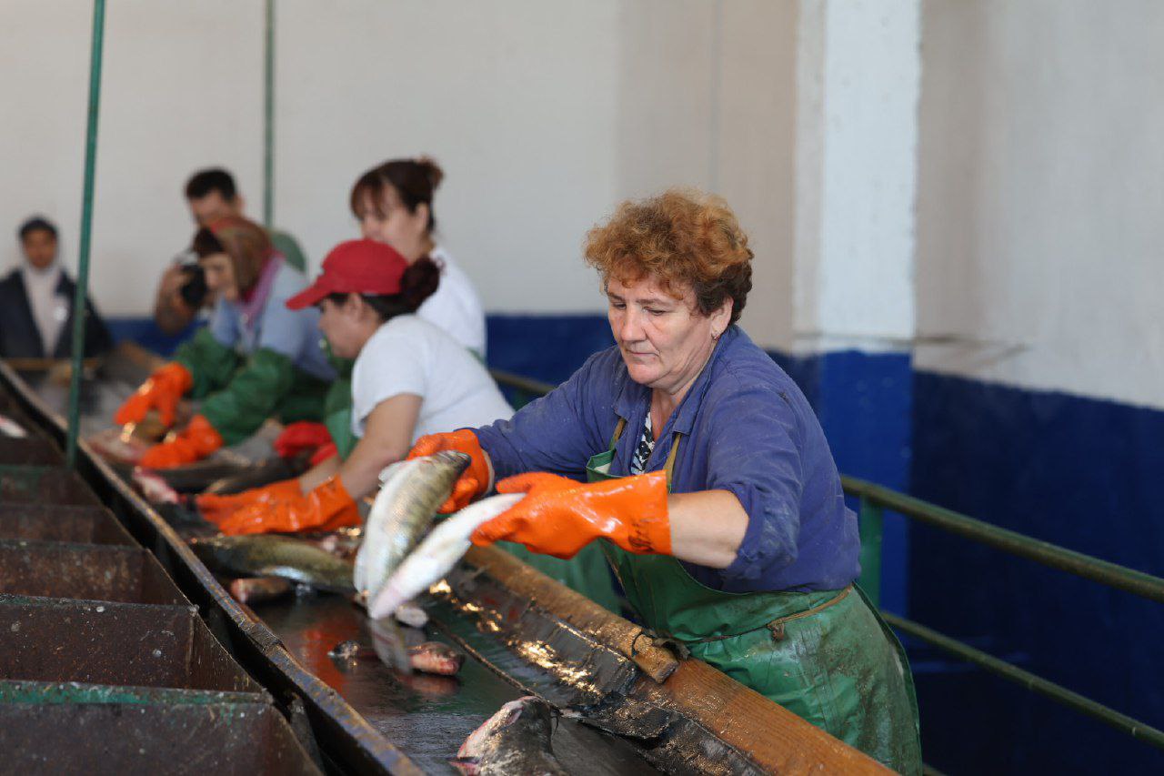 Астраханская область отправила сотни тонн рыбы в Германию, Францию и Польшу