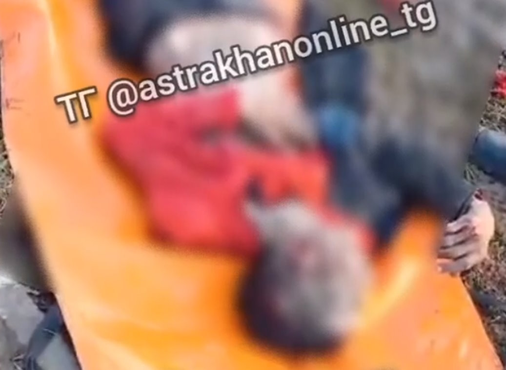 Собаки ни при чем: найденный под Астраханью мужчина погиб от переохлаждения