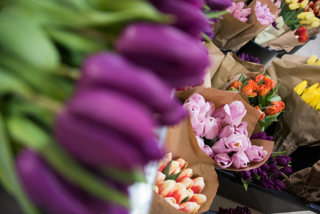 Астраханский предприниматель рассказал, как выбрать тюльпаны и продлить им жизнь