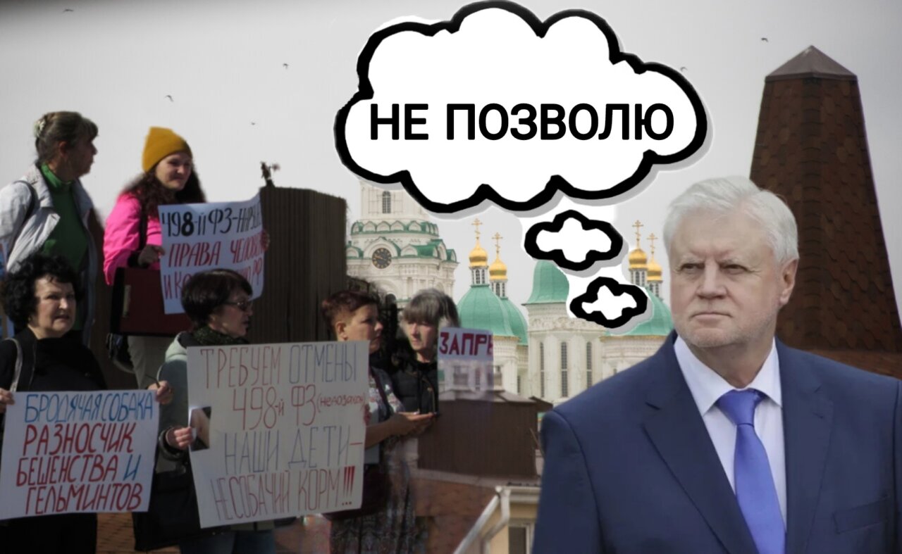 Председатель «Справедливой России» хочет отменить эвтаназию собак в Астраханской области