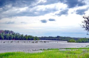 Вода уходит: половодье в Астраханской области пошло на спад