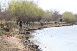 В Росрыболовстве подтвердили планы о продлении запрета на вылов воблы