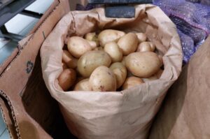 Куда отправляют первый астраханский картофель