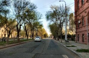 Улицу Савушкина в субботу частично перекроют для опиловки деревьев