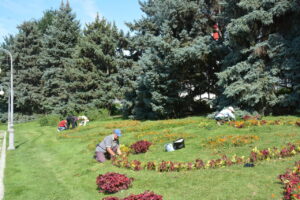 Цветники на площади Ленина привели в порядок и обновили