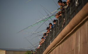 Какая сейчас рыбалка в Астраханской области