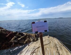 В Астраханской области расчищают реки, в которых плавает редкая рыба