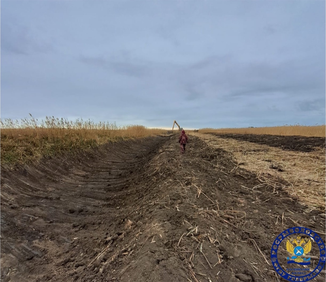 Под Астраханью расчищают небольшие реки для нереста ценных рыб