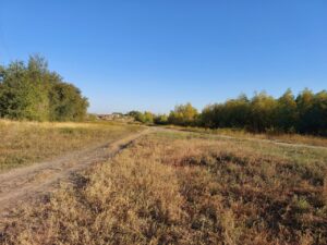 Неожиданно: в Астраханской области летают ополовники и птицы с усами