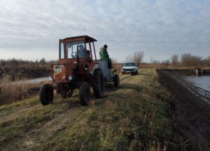 В Астраханской области популярную рыбу катали на тракторе и выпустили для потомков