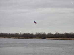 На Городском острове в Астрахани засняли редкого северного жителя