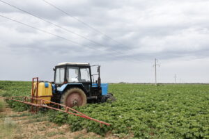 В Астраханской области назвали самый картофельный район