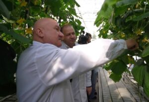 Под Астраханью появятся новые теплицы пятого поколения