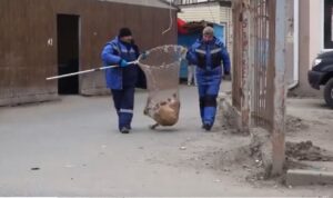 Видео: как проходит обычный день отловщика бродячих собак в Астрахани