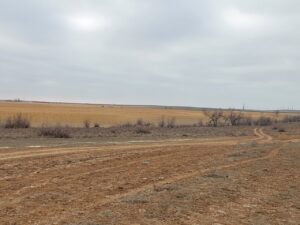 Под Астраханью суд заставляет возвращать землю, взятую в аренду