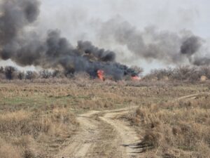Восемь астраханцев были признаны виновными в возникновении пожаров