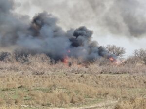 Астраханцам запретили использовать мангалы и жечь сухую траву