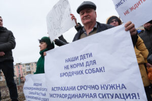 В Астрахани ввели режим, позволяющий массово усыплять бездомных собак