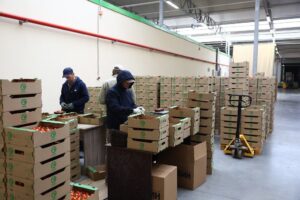 Опыт не нужен: где астраханцы могут получать до 5 тысяч каждый день