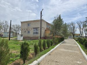 Куры на астраханской птицефабрике несутся в убыток