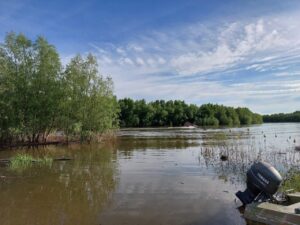 В Астраханской области продлили условия для нереста рыбы