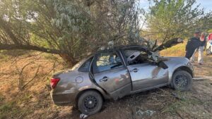В Астраханской области женщина съехала на обочину, врезалась в дерево и погибла