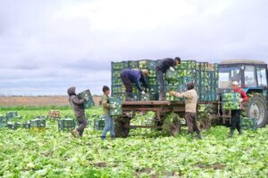 Группировка из россиян и иностранцев помогала мигрантам нелегально жить в Астраханской области