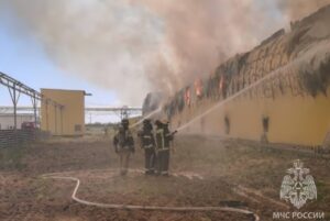 При пожаре на астраханской птицефабрике погибли 166 тысяч кур