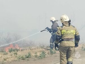 Под Астраханью пытаются потушить крупный пожар