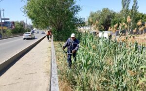 Из-за опасности пожаров в Астрахани стали активнее косить сорняки
