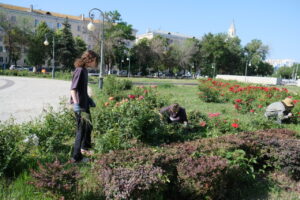 Астраханских школьников зовут работать: куда обращаться и что за работа