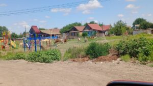 В Астрахани коровы решили заняться спортом, чтобы стать супер телочками