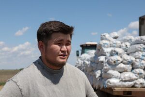 Стало известно, куда будут отправлять ранний астраханский картофель