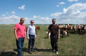 Фермеры из Астраханской области купили ухоженных телок