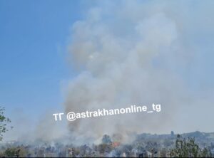 В Астрахани на кладбище произошел пожар