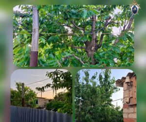 В Астраханской области погиб ребенок от удара током