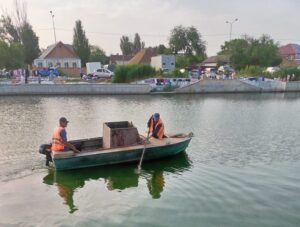 Из водоема в центре Астрахани коммунальщики достали труп крупного животного