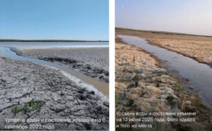 Воды осталось на три недели: астраханские ильмени нуждаются в подкачке