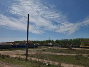 В Астраханской области ядовитое растение покрыло огромную площадь, введен карантин
