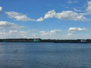 В Астрахани рыбаки час боролись с огромным сомом