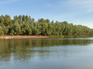 В Астраханской области рассказали, как на воде погибли двое человек