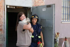 Из обрушенного дома на Ляхова спустя два дня спасли кошку