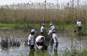 В Астраханской области «Голубые патрули» вышли спасать рыбу