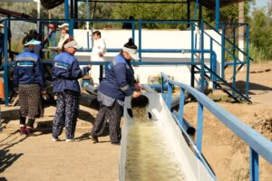 В реку под Астраханью выпустили тысячи русских осетров