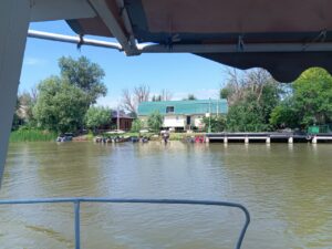 Какая рыба чаще всего сейчас попадается в Астраханской области