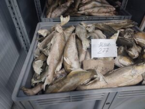 Астраханский производитель нелегально хранил ценную рыбу, собираясь отправить в Евросоюз