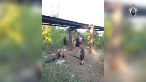 Девочка погибла в Трусовском районе, упав с перехода на причал