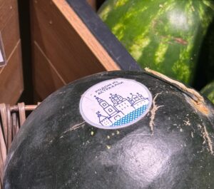 Сладкую Юлию из Астраханской области отправили в разные регионы страны
