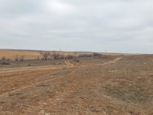 В Астраханской области у редчайших и толстеньких животных растет самый необычный нос