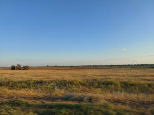 В Астраханской области сняли одну из самых маленьких в мире птиц: она ест, как безумная и поет